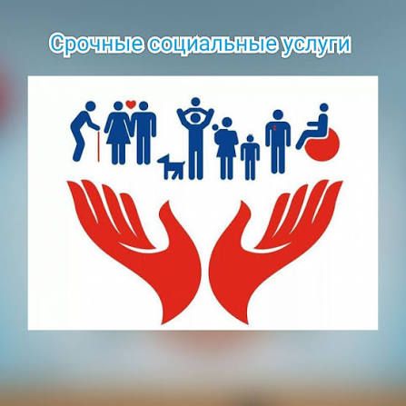 Срочные социальные услуги
